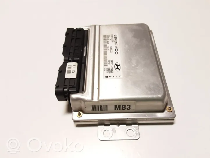 Hyundai Tucson JM Sterownik / Moduł ECU 3917123300