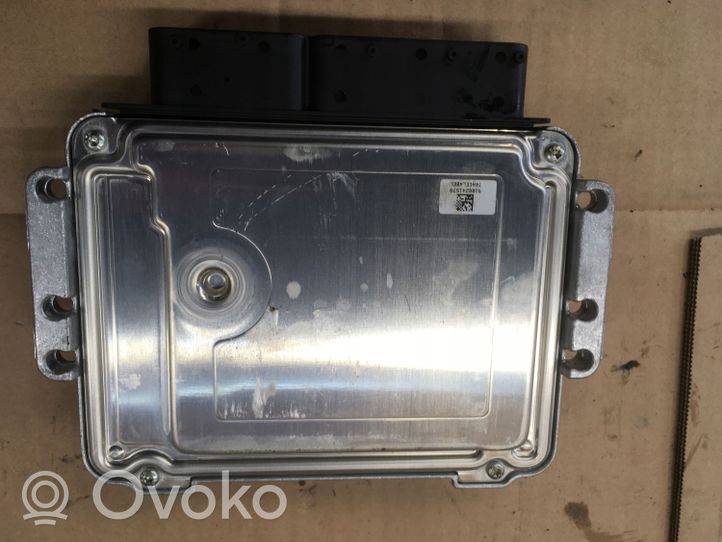 KIA Sorento Sterownik / Moduł ECU 391144A430