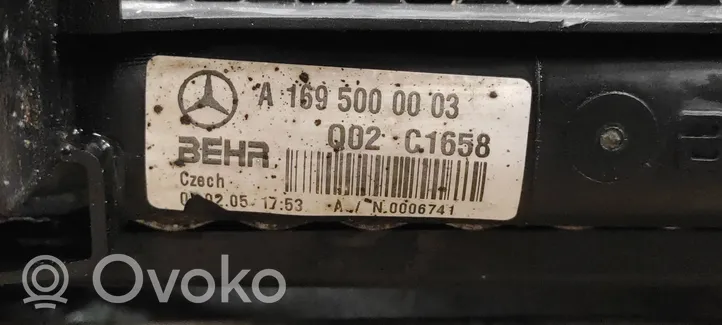 Mercedes-Benz A W169 Radiador del refrigerante A1695000003