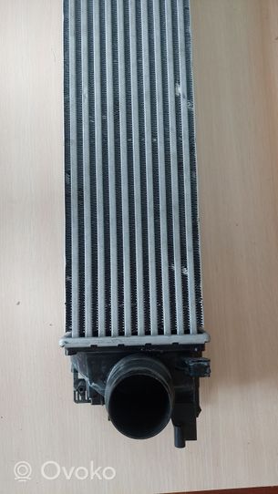 Volvo XC40 Radiatore intercooler 31686408