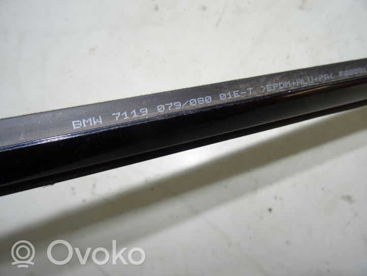 BMW 3 E92 E93 Rivestimento modanatura del vetro della portiera anteriore 7119079