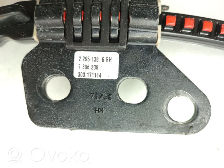 BMW 3 GT F34 Manopola di regolazione del sedile 7306238