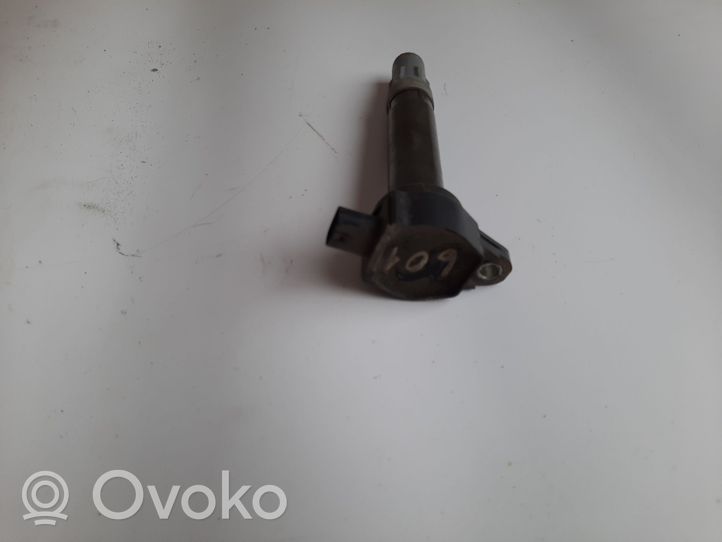 Volkswagen Routan Cewka zapłonowa wysokiego napięcia 04606869AB