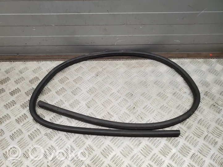 Dodge Challenger Front door rubber seal 05160345AA