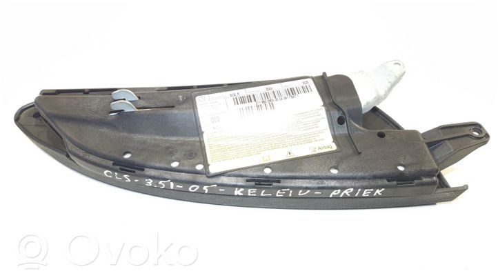 Mercedes-Benz CLS C219 Poduszka powietrzna Airbag boczna 602341300C