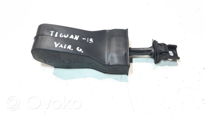 Volkswagen Tiguan Priekinių durų atvėrimo ribotuvas 5N0839267