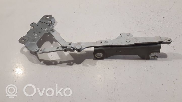 BMW 1 F20 F21 Cerniere del vano motore/cofano 7239415