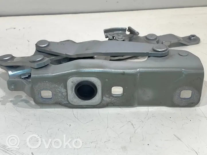 Mercedes-Benz SLK R172 Cerniere del vano motore/cofano A1728800128