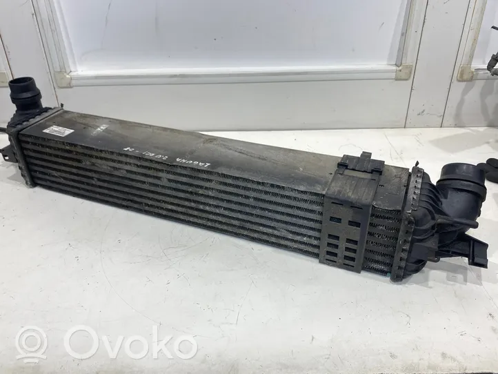 Renault Laguna III Chłodnica powietrza doładowującego / Intercooler 144960001R