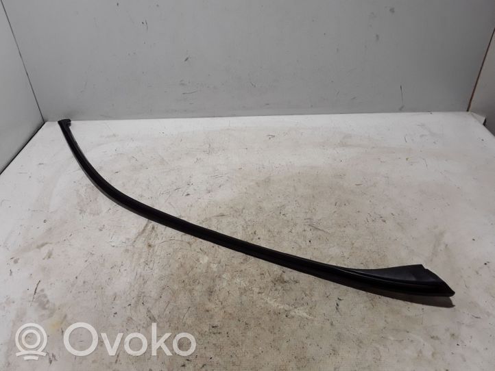 BMW X5 E70 Front door glass trim molding 7207834