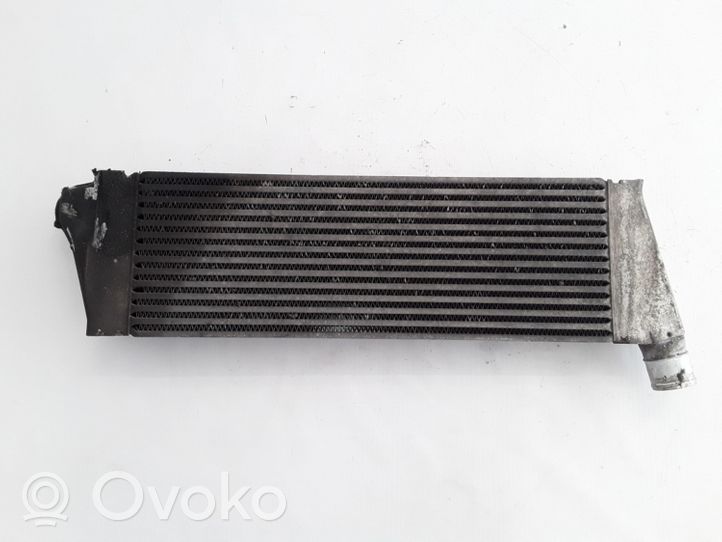 Renault Megane II Intercooler radiator 