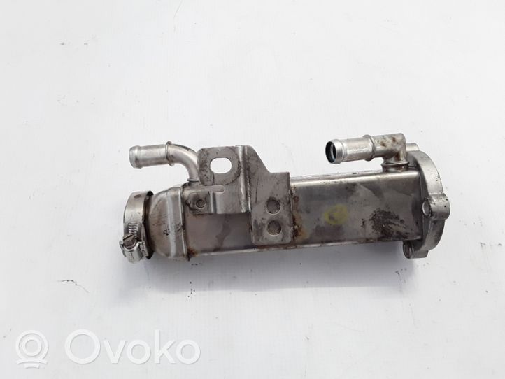 Volvo C70 Chłodnica spalin EGR 31219249