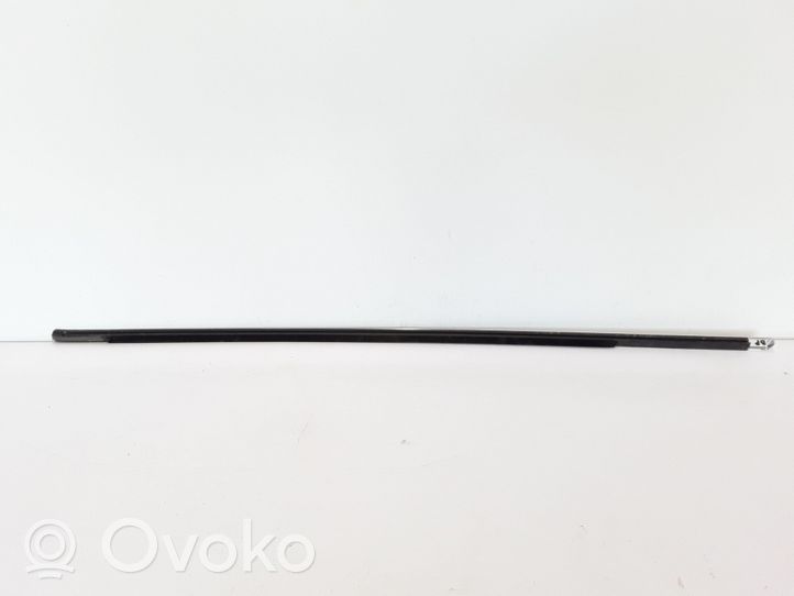 Volvo XC60 Front door glass trim molding 31385844