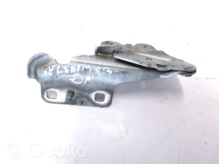 Renault Vel Satis Engine bonnet/hood hinges 7701206963