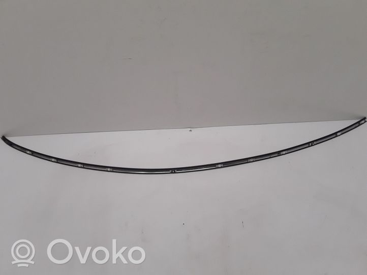 Renault Latitude (L70) Windshield trim 738530052R