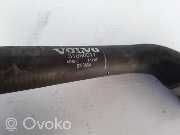 Volvo V60 Przewód / Wąż chłodnicy 31686011
