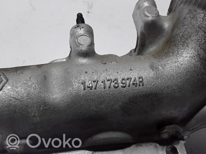 Dacia Dokker EGR valve line/pipe/hose 147173974R