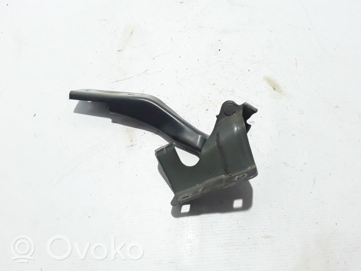 Renault Koleos I Engine bonnet/hood hinges 65401JY00A