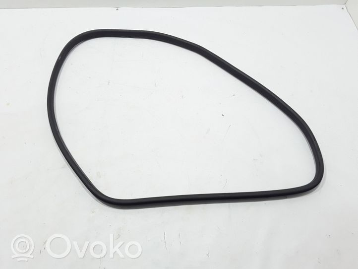 Renault Megane III Rear door rubber seal (on body) 769230007R