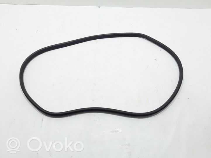 Renault Megane III Front door rubber seal 808320004R