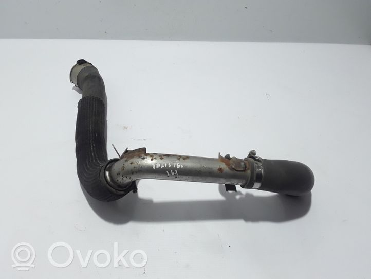 Renault Talisman Tube d'admission de tuyau de refroidisseur intermédiaire 144606343R