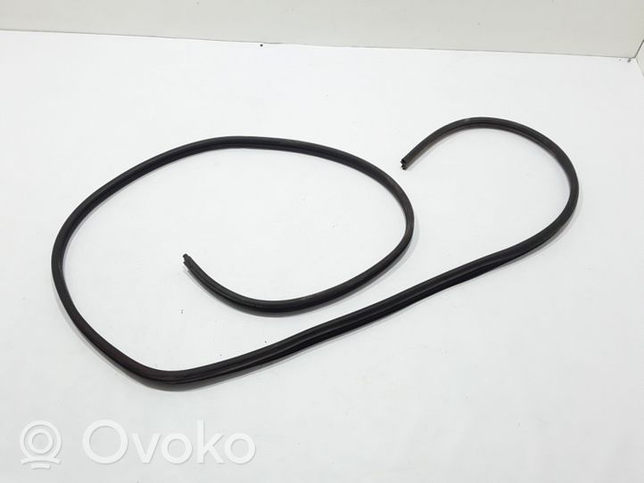 Opel Movano B Priekinė sandarinimo guma ant kėbulo 8200677001