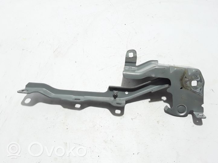 Renault Latitude (L70) Engine bonnet/hood hinges 654010010R