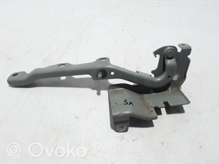 Renault Latitude (L70) Engine bonnet/hood hinges 654010010R