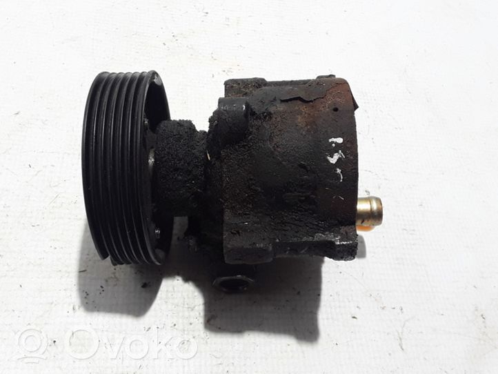 Renault Kangoo I Pompe de direction assistée 491106408R