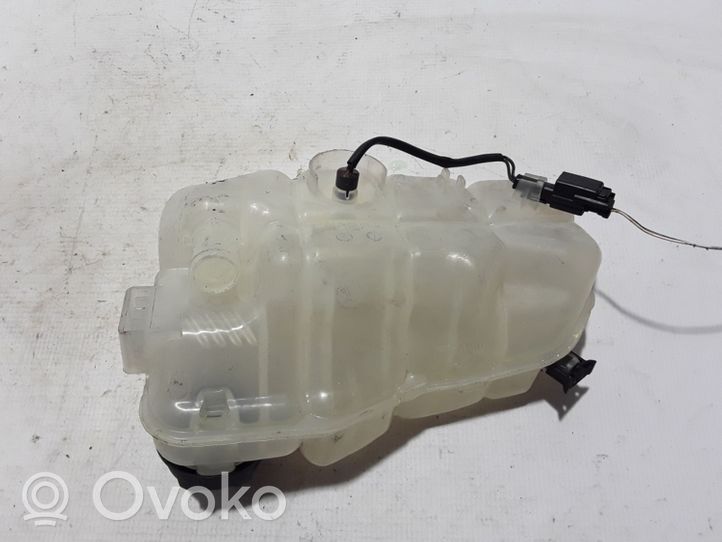 Volvo V40 Serbatoio di compensazione del liquido refrigerante/vaschetta 31338764