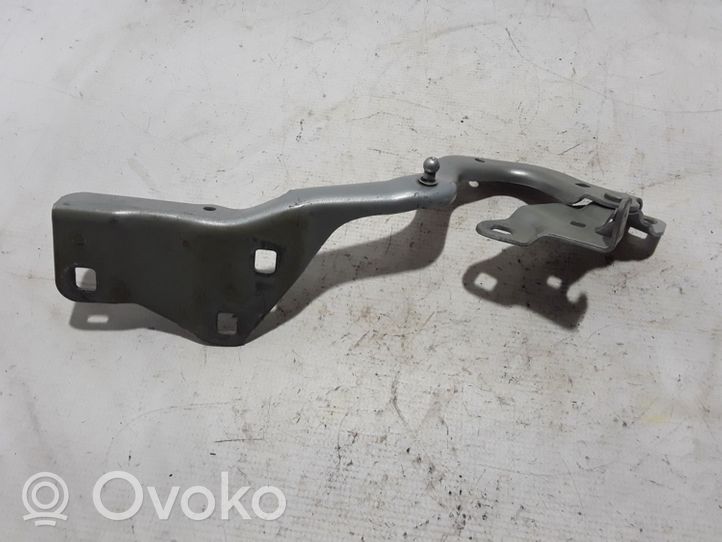 Renault Scenic IV - Grand scenic IV Cerniere del vano motore/cofano 654003758R