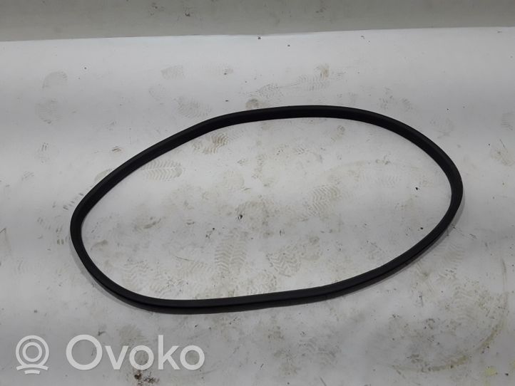 Renault Clio V Rear door rubber seal (on body) 769230344R