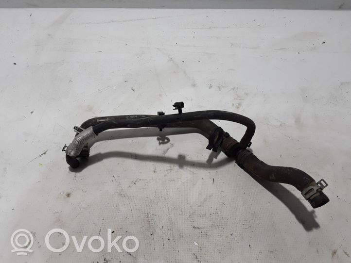 Ford Fiesta Przewód / Wąż chłodnicy H1BG8C351CD