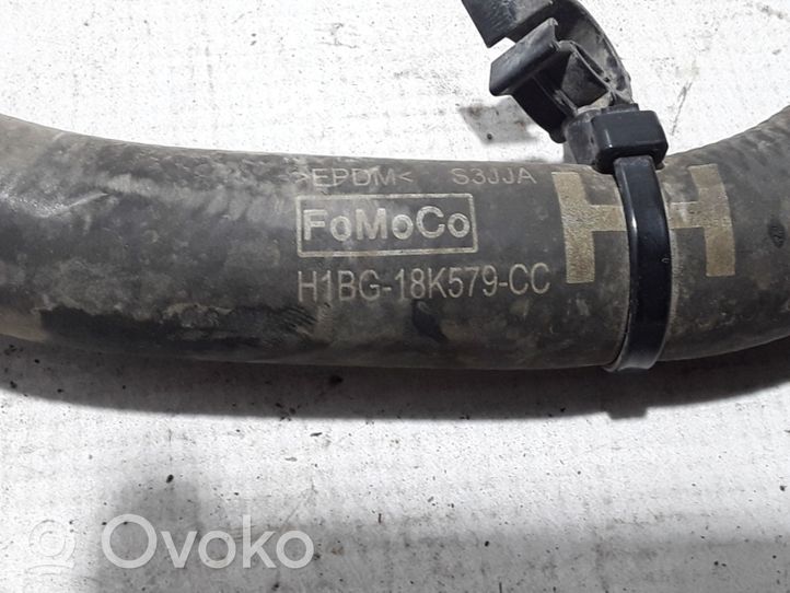 Ford Fiesta Engine coolant pipe/hose H1BG18K579CC