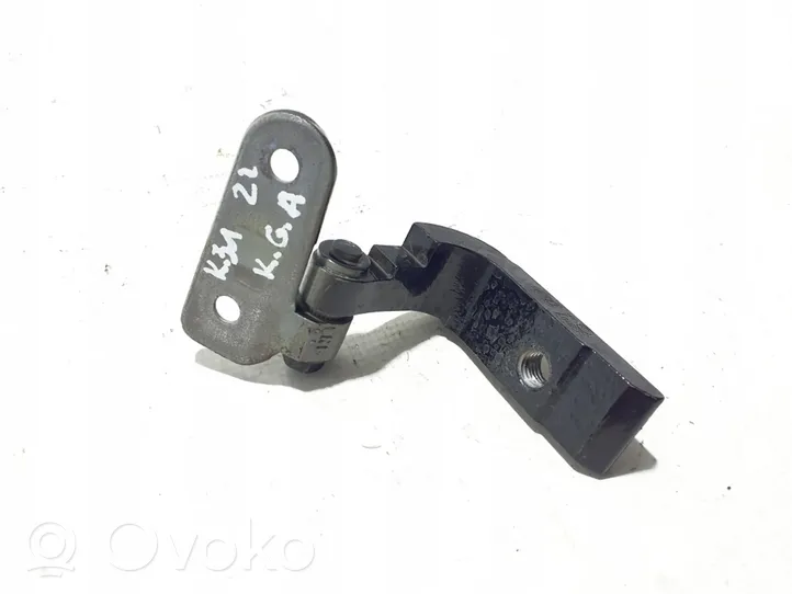 BMW 5 G30 G31 Rear door lower hinge 7420097