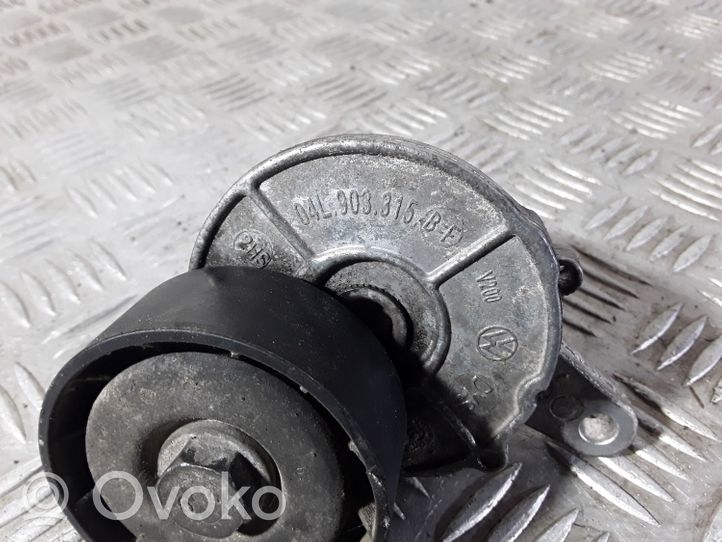 Volkswagen Tiguan Generatoriaus diržo įtempėjas 04L903315