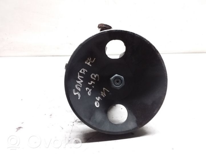 Hyundai Santa Fe Power steering pump 