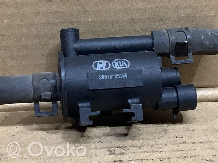 Hyundai Sonata Vacuum valve 2891025100