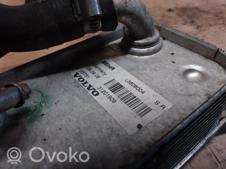 Volvo V70 Radiatore dell’olio trasmissione/cambio 31201909