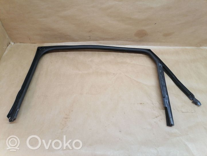 Volkswagen Polo V 6R Rubber seal rear door window/glass 6R6839432