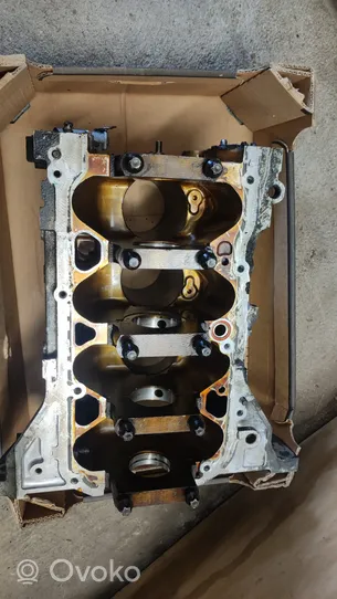 Nissan Qashqai Bloc moteur MR20DE