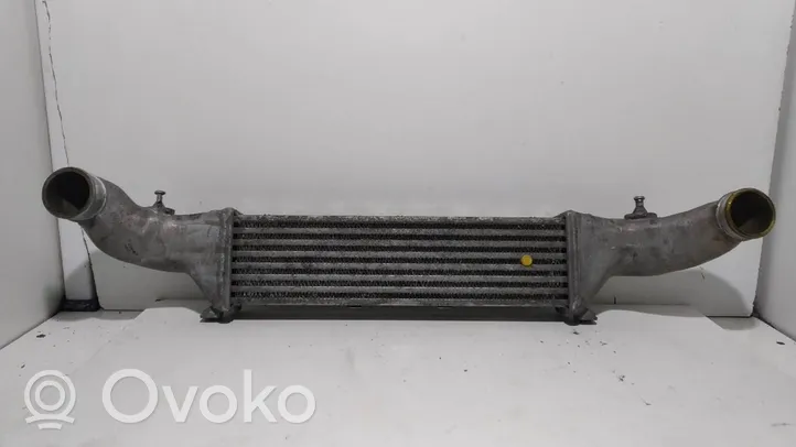 Mercedes-Benz CLK A208 C208 Chłodnica powietrza doładowującego / Intercooler A2025001000