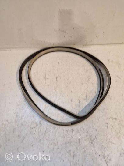 Hyundai Santa Fe Rear door rubber seal (on body) 