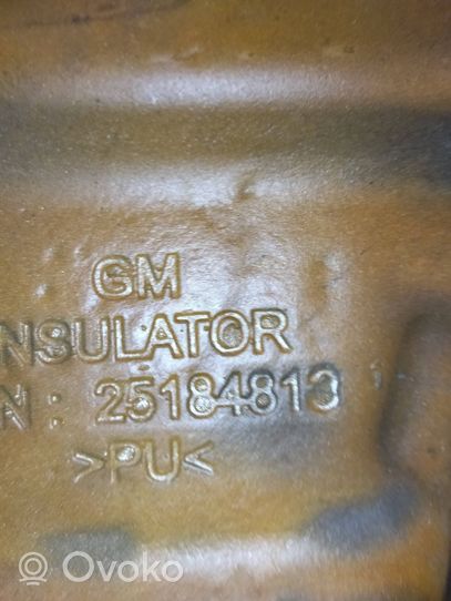 Opel Antara Engine cover (trim) 25184813