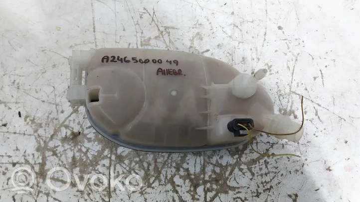 Mercedes-Benz A W176 Coolant expansion tank/reservoir A2465000049