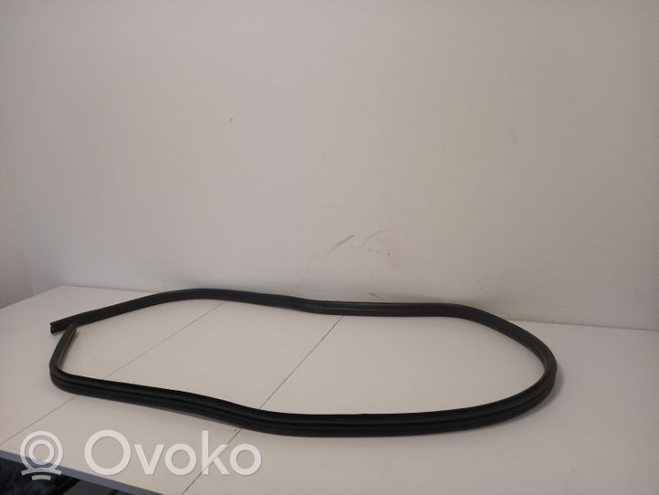 Smart ForFour I Front door rubber seal 4547200578