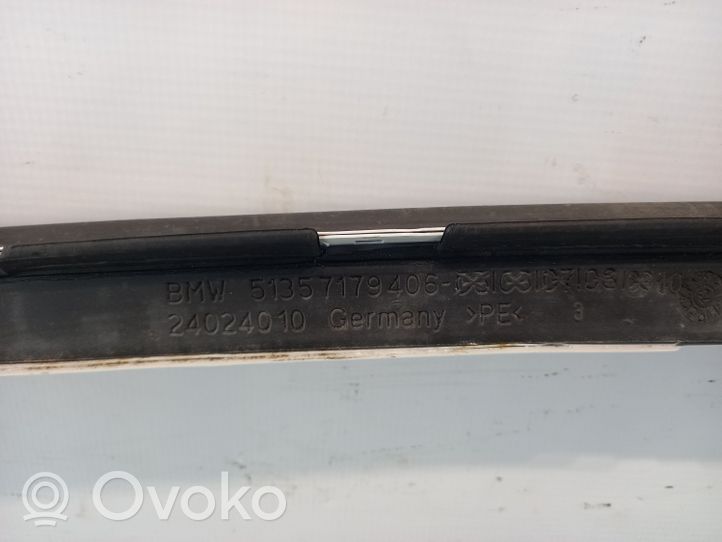 BMW X6 E71 Rear door 70013X038