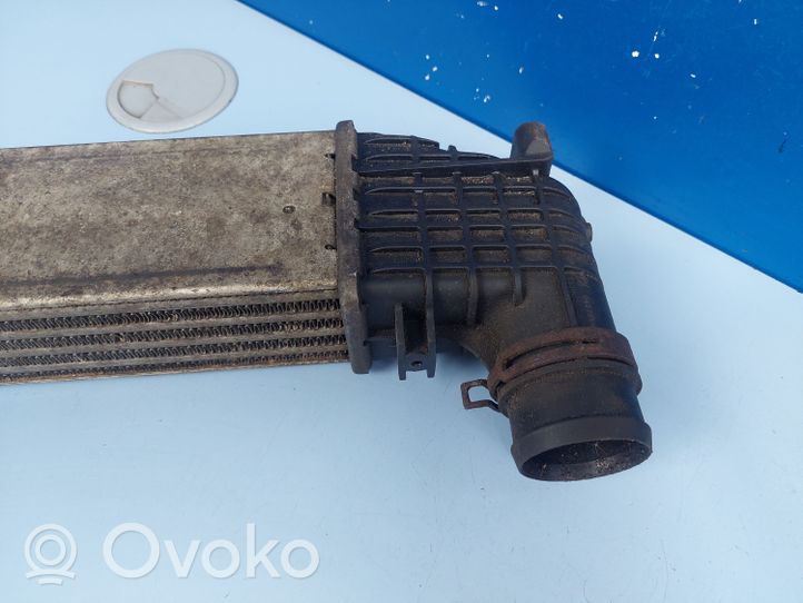 Seat Alhambra (Mk1) Radiatore intercooler 132002748A