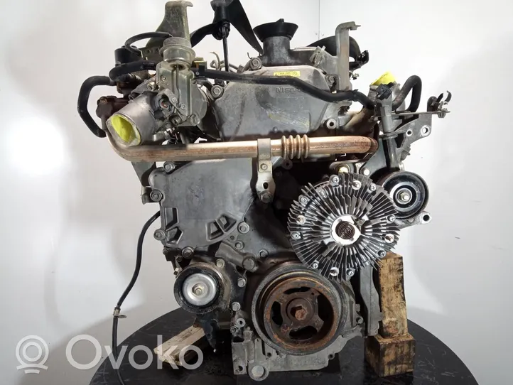 Nissan Pathfinder R51 Moteur YD25DDTI