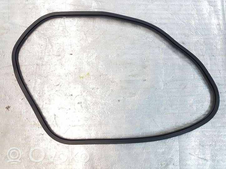 Ford Fusion II Rear door rubber seal (on body) 010440111Z